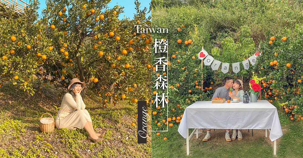 被朝氣的橘色包圍！台灣期間限定的浪漫約會點「橙香森林」，來感受午後陽光的橘子天堂吧～