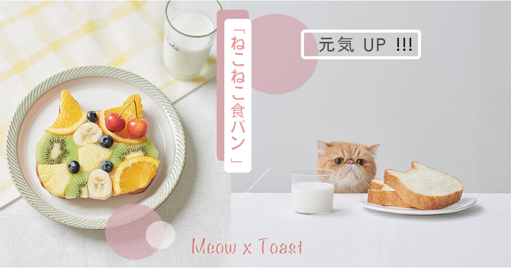 超可愛貓咪多士，早餐元氣滿滿！貓奴不容錯過～自己早餐自己設計無難度！