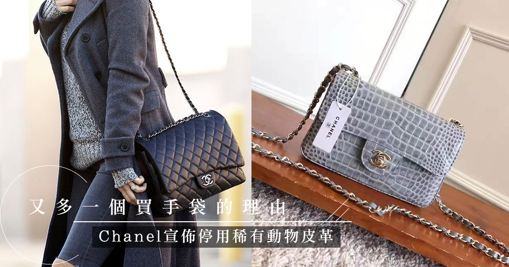 首個保護稀有動物的奢侈品牌：Chanel宣佈停止使用稀有動物皮革，宣揚保育概念！