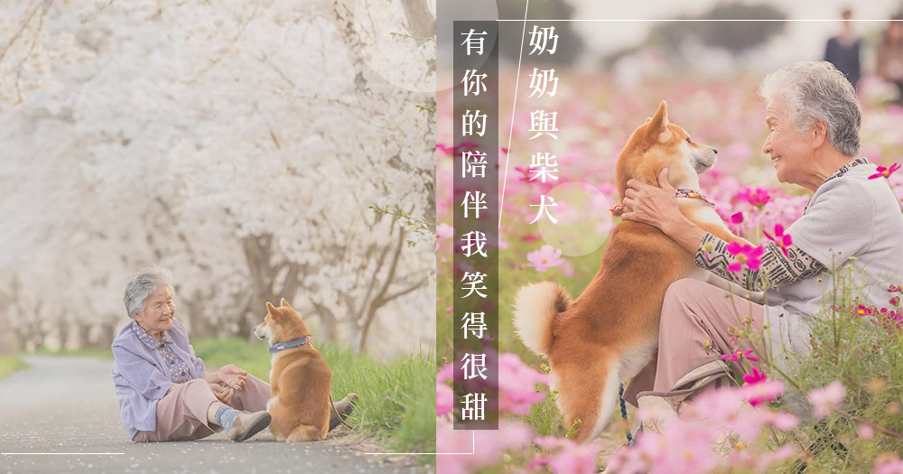有你的陪伴讓我笑得很甜：YASUTO 攝影師記錄下溫馨的奶奶與柴犬彼此陪伴的愛。