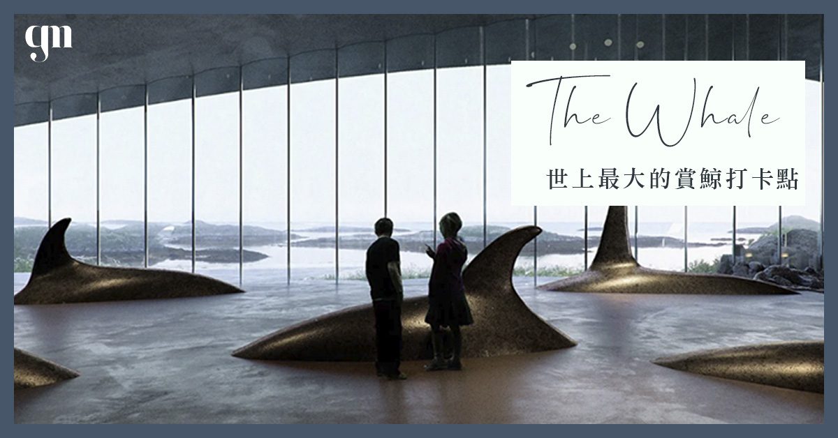 世上最大的賞鯨打卡點～挪威的賞鯨中心「The Whale」2023年正式開放！