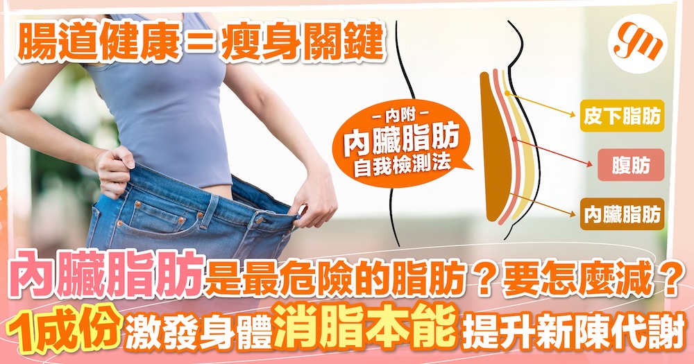 內臟脂肪是最危險的脂肪？要怎麼減？1成份 激發身體消脂本能 提升新陳代謝！