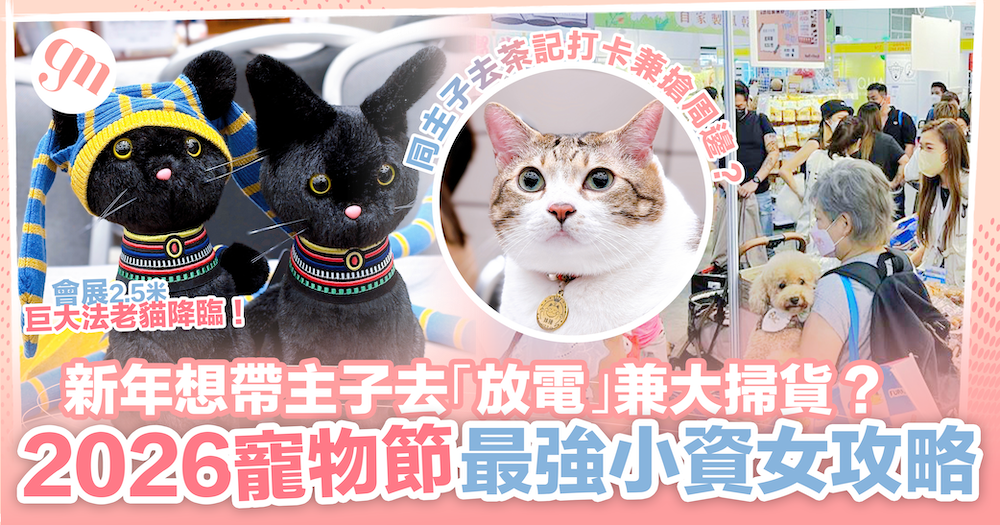 香港寵物節2026｜會展2.5米巨大法老貓降臨！同主子「去茶記」打卡兼搶限定周邊？2026寵物節最強「小資女」攻略！ #girlstrip
